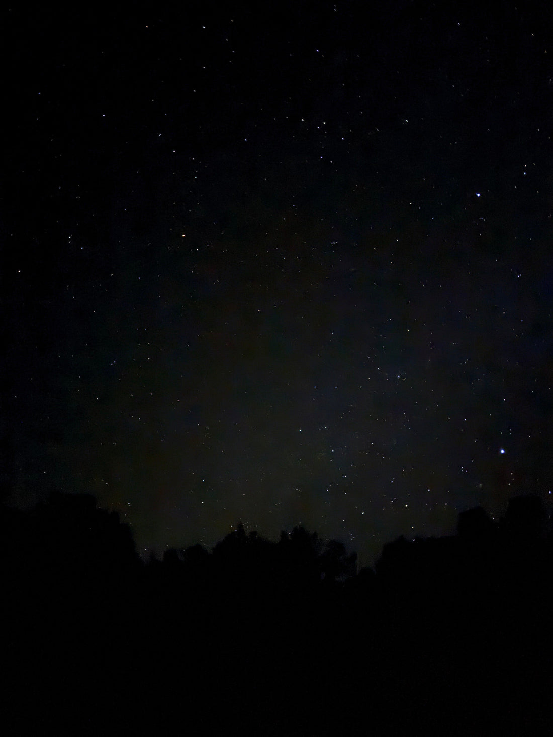 Stargazing, Light Pollution, and Protecting the Night Sky with Sarah Martin of Dark Sky International