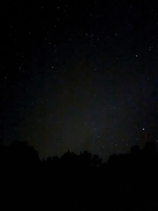 Stargazing, Light Pollution, and Protecting the Night Sky with Sarah Martin of Dark Sky International