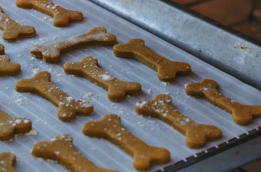 Homemade Pet Treats for Your Quilt-Hogging Sidekick