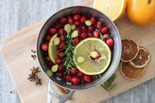 Holiday Simmer Pot Recipe
