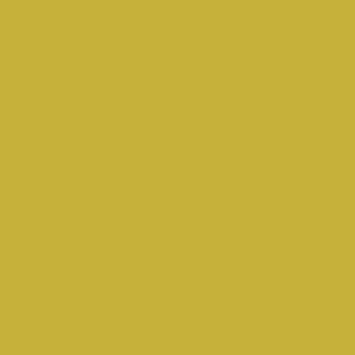 AGF Pure Solids | Olive Oil